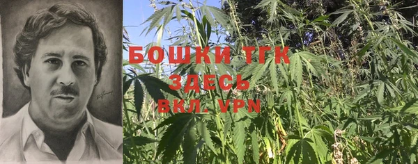 ешки Нефтегорск